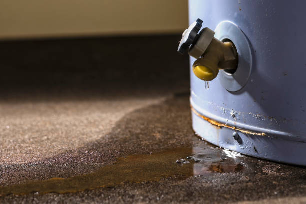 Best Local water damage restoration  in Indianola, MS