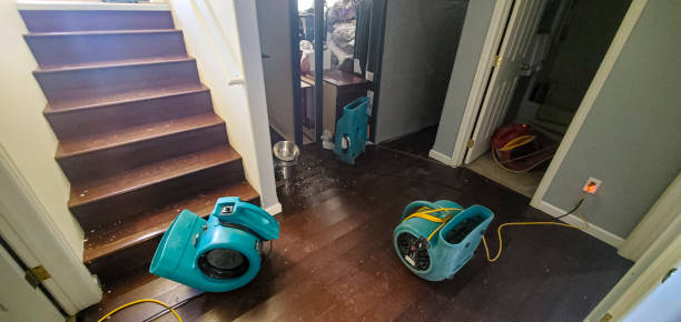 Best Basement water damage restoration  in Indianola, MS