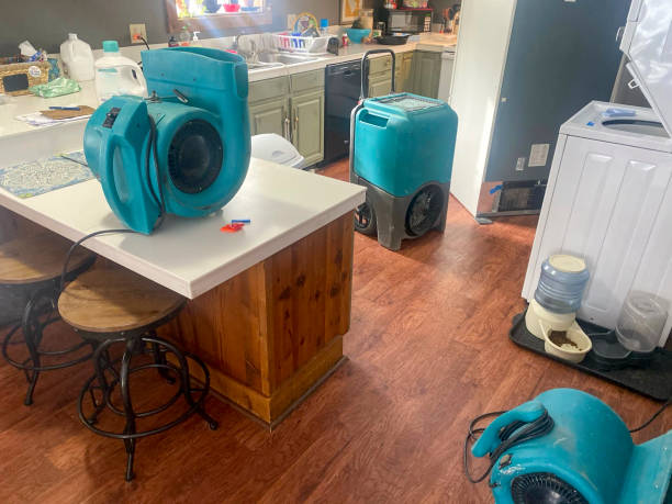 Best Commercial water damage restoration  in Indianola, MS