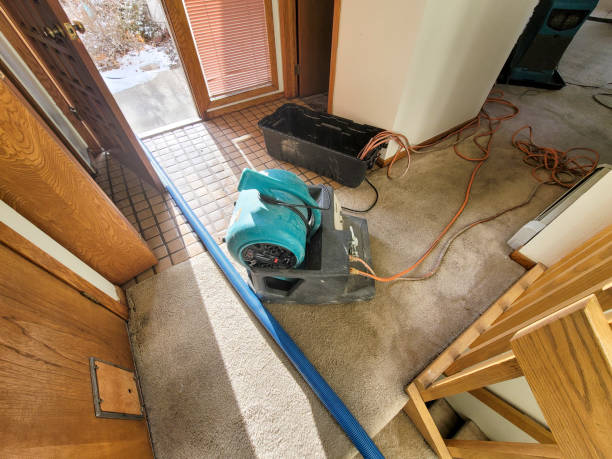 Best Flood damage cleanup  in Indianola, MS