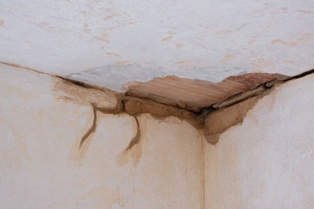 Best Water damage contractors near me  in Indianola, MS