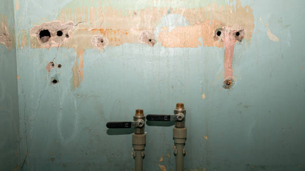 Best Water damage restoration experts  in Indianola, MS